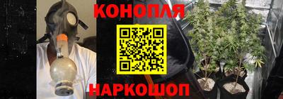 прущий лед Будённовск